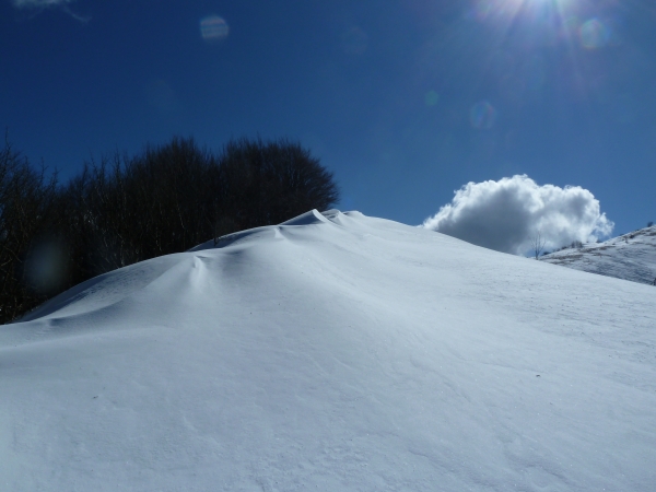 PAESAGGIO INNEVATO SOPRA CAPANNE DI COSOLA.jpg